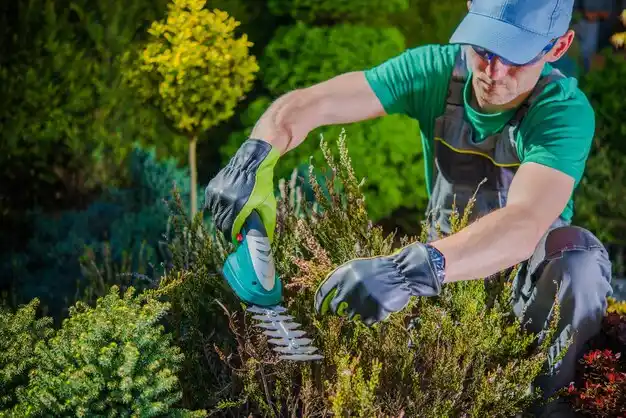 landscaping services Garden City South